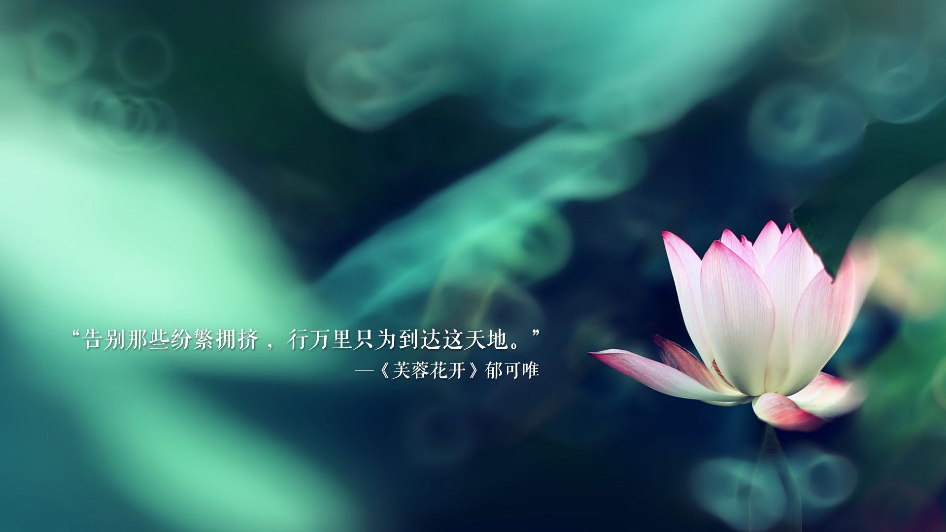 德赢网址-足球职业联赛媒体中心平台功能优化，足球联赛管理app