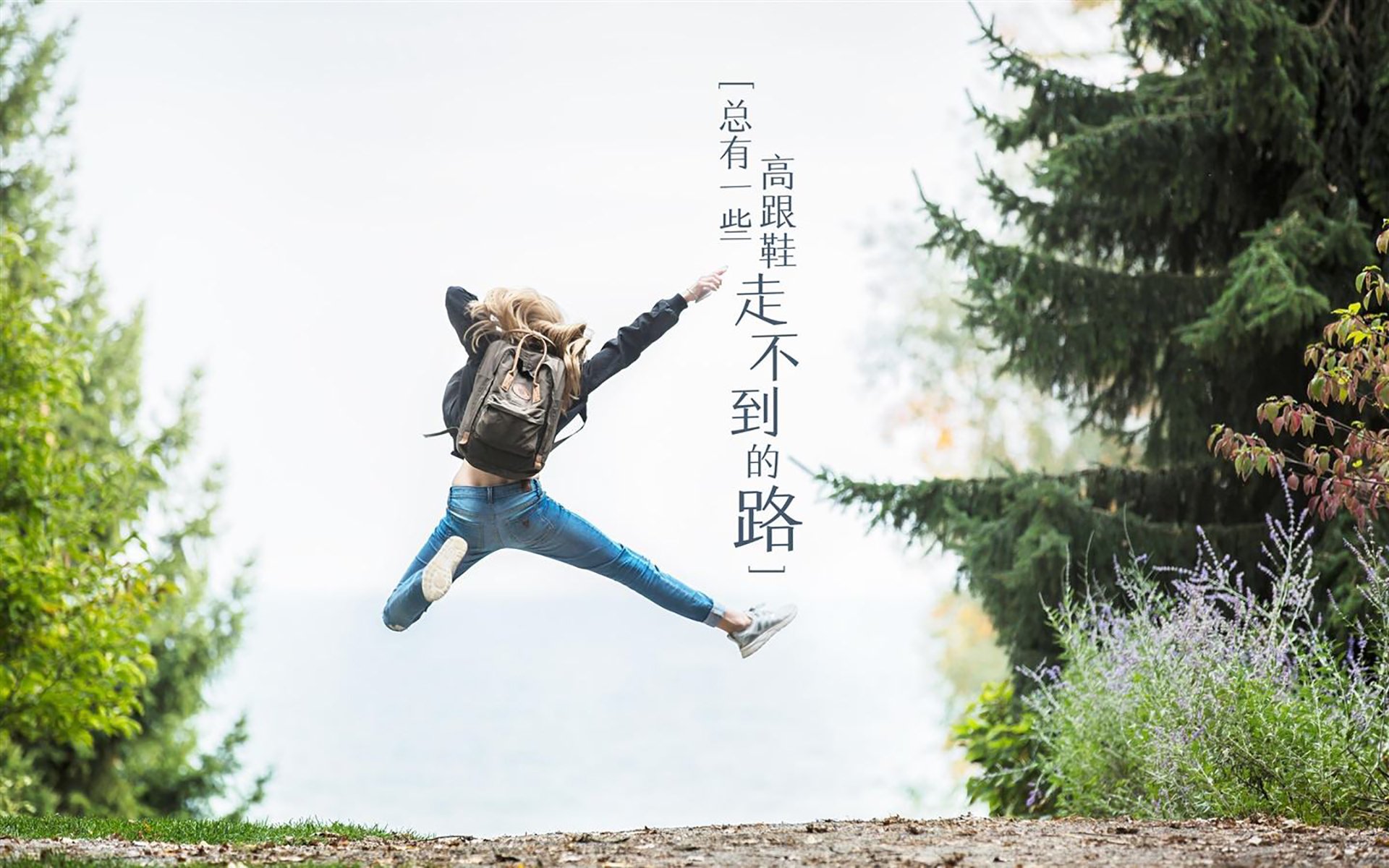 荷兰马术协会与非洲马术协会开展技术援助项目，提升当地水平。