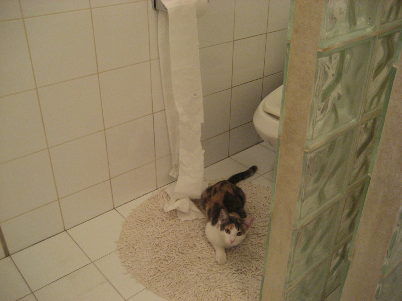 德赢体育app下载安装官方-欧洲杯宿命对决：战术布局的巅峰展现，欧洲杯s