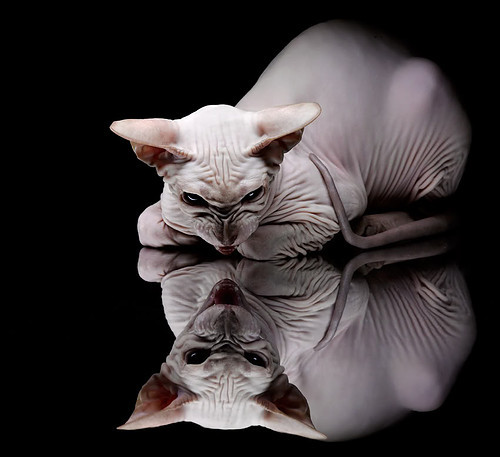 德赢体育娱乐平台-足球联赛推广校园公益活动受好评，足球活动宣传推文