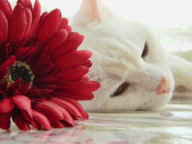 青训比赛设置摄像监控便于教练回看技战术细节，青训成员